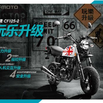 ���� ��������CF125-2(2013��)